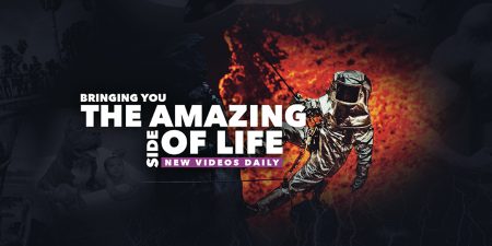 The Amazing Side of Life