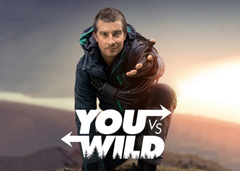 Bear Grylls